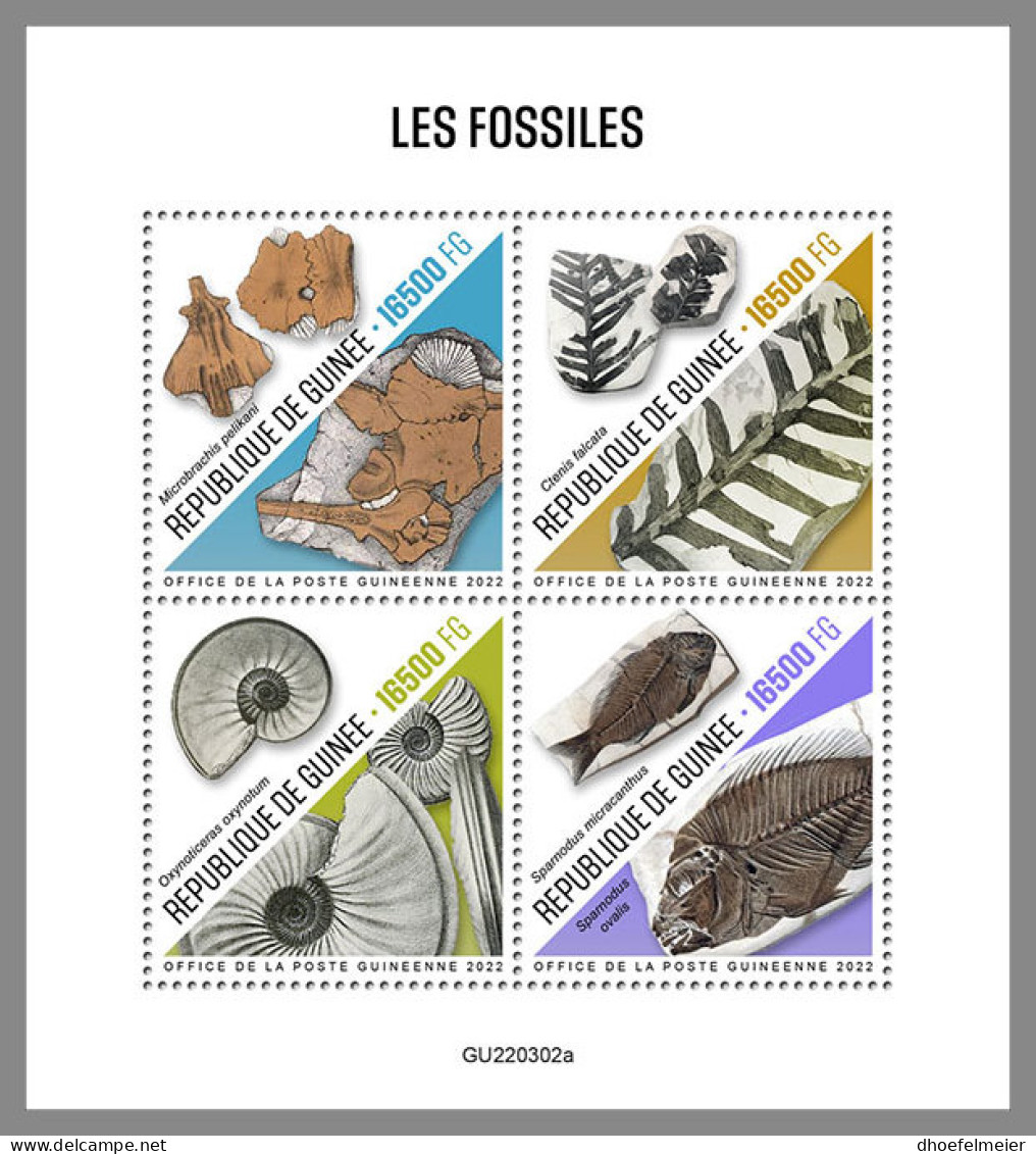 GUINEA REP. 2022 MNH Fossils Fossilien Fossiles M/S - IMPERFORATED - DHQ2319 - Fossili