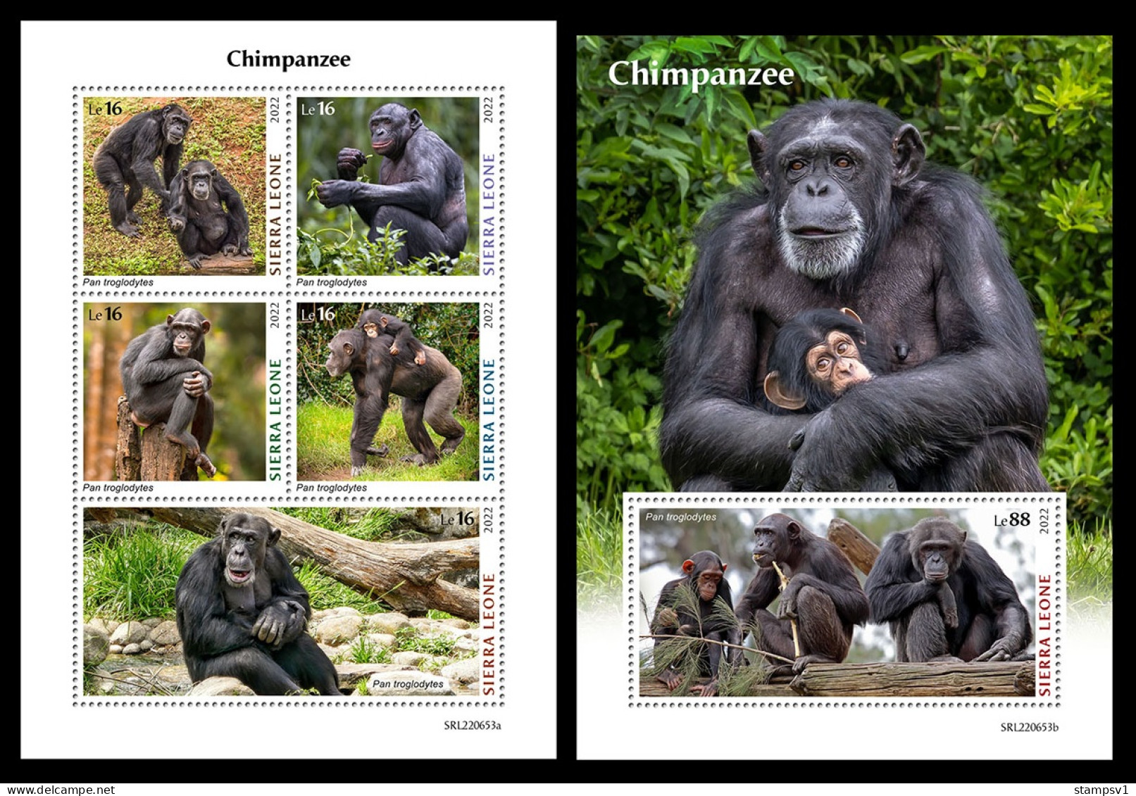 Sierra Leone  2022 Chimpanzee. (653) OFFICIAL ISSUE - Schimpansen