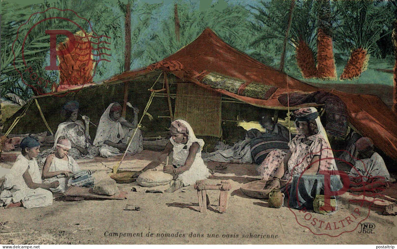 CAMPEMENT DE NOMADES DANS UNE OASIS - Westsahara