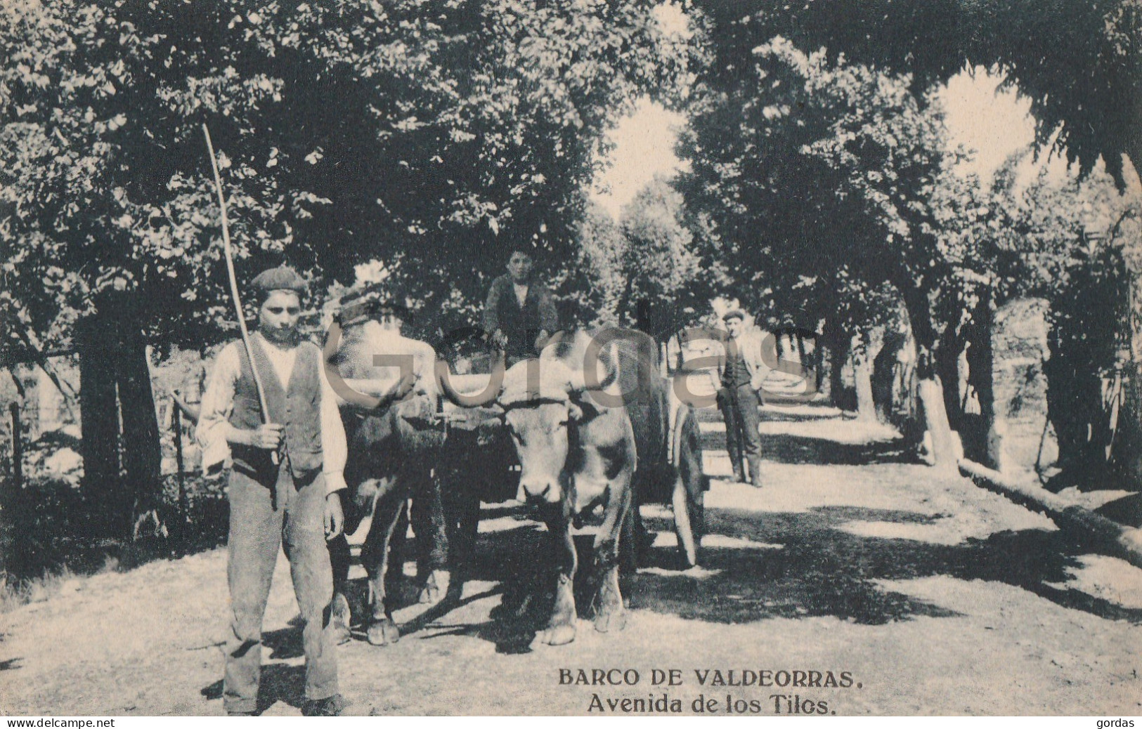 Spain - Barco De Valdeorras - Avenida De Los Tilos - Ox Carriage - Orense