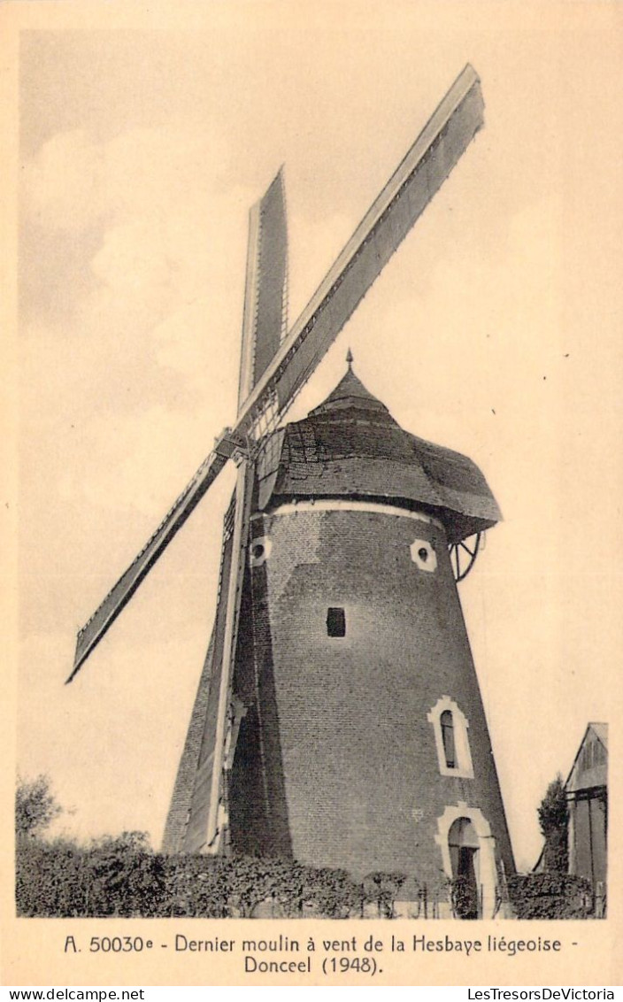 BELGIQUE - Donceel - Dernier Moulin à Vent De La Hesbraye Liègeoise - Carte Postale Ancienne - Donceel