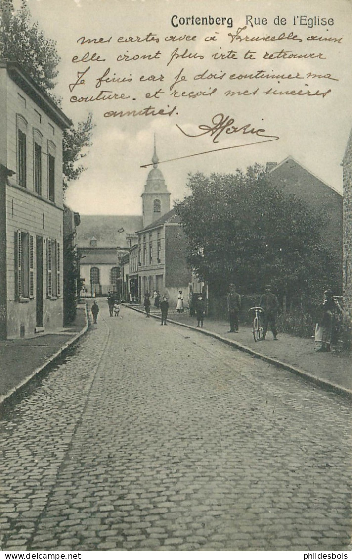 BELGIQUE  KORTENBERG / CORTENBERG  Rue De L'église - Kortenberg