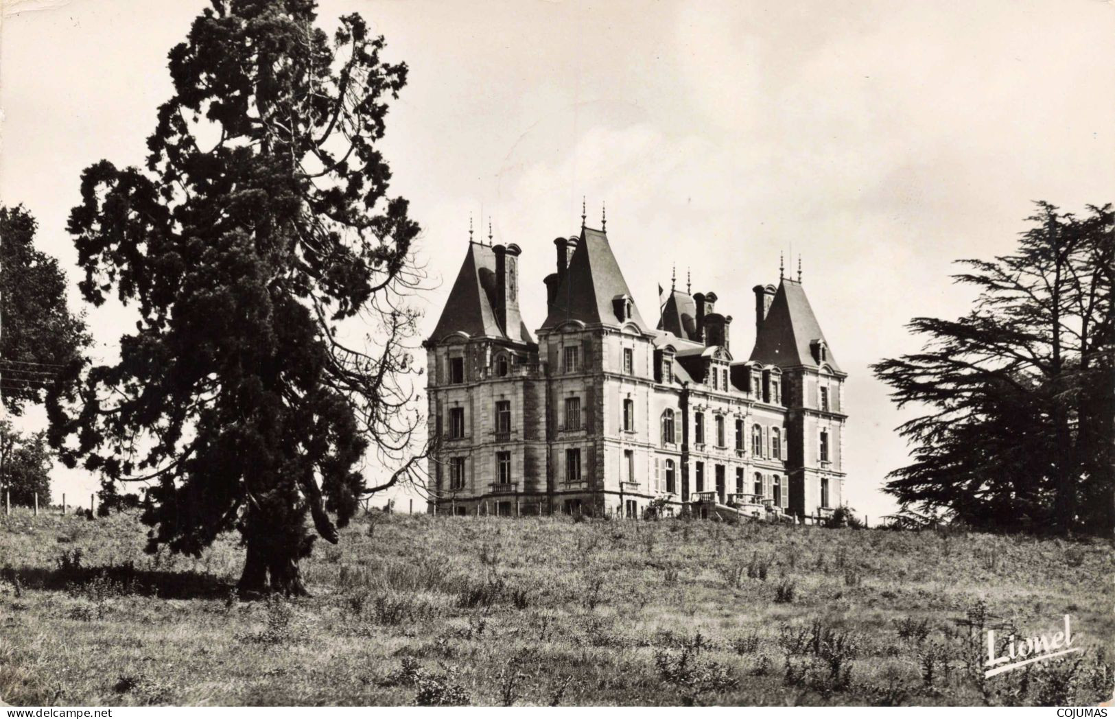 49 - TIERCE - S15842 - Château De La Besnerie - Colonie De Vacances D'Argenteuil - CPSM 14x9 Cm - Tierce