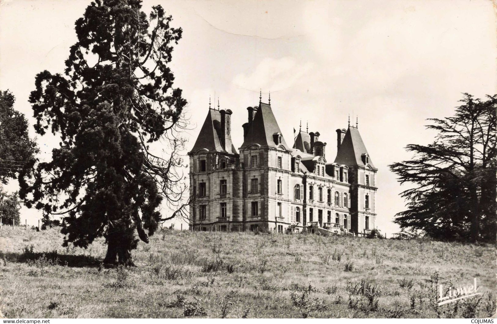 49 - TIERCE - S15843 - Château De La Besnerie - Colonie De Vacances D'Argenteuil - CPSM 14x9 Cm - Tierce