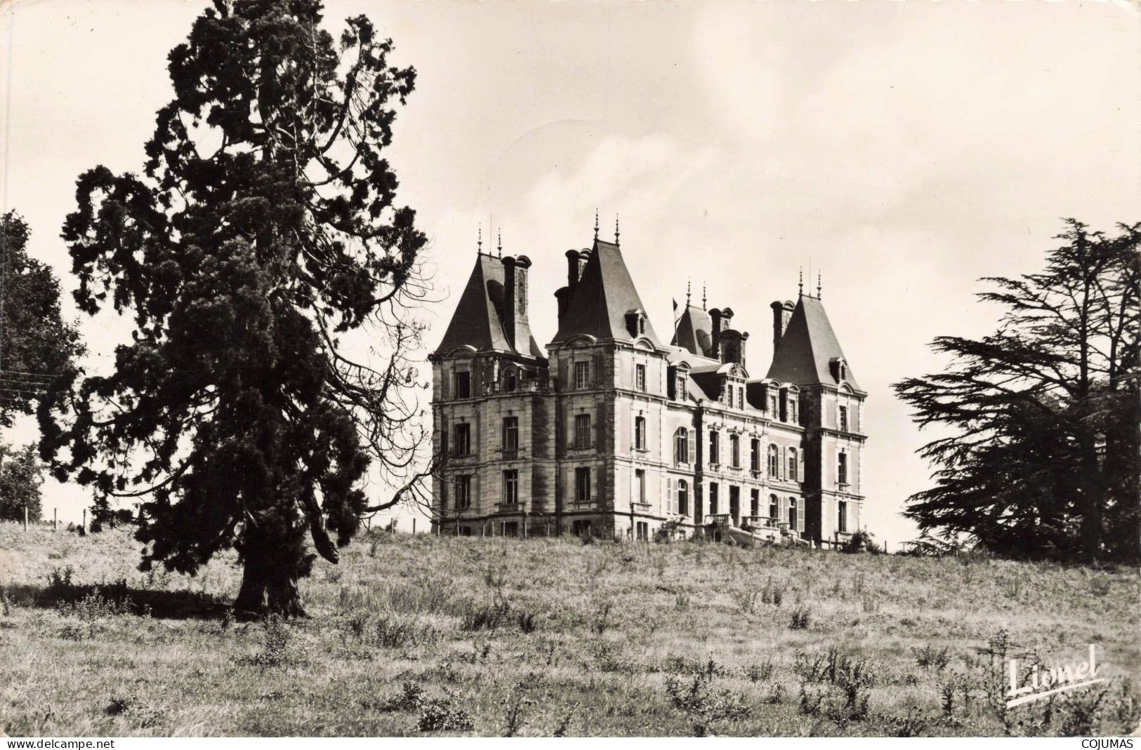 49 - TIERCE - S15844 - Château De La Besnerie - Colonie De Vacances D'Argenteuil - CPSM 14x9 Cm - Tierce