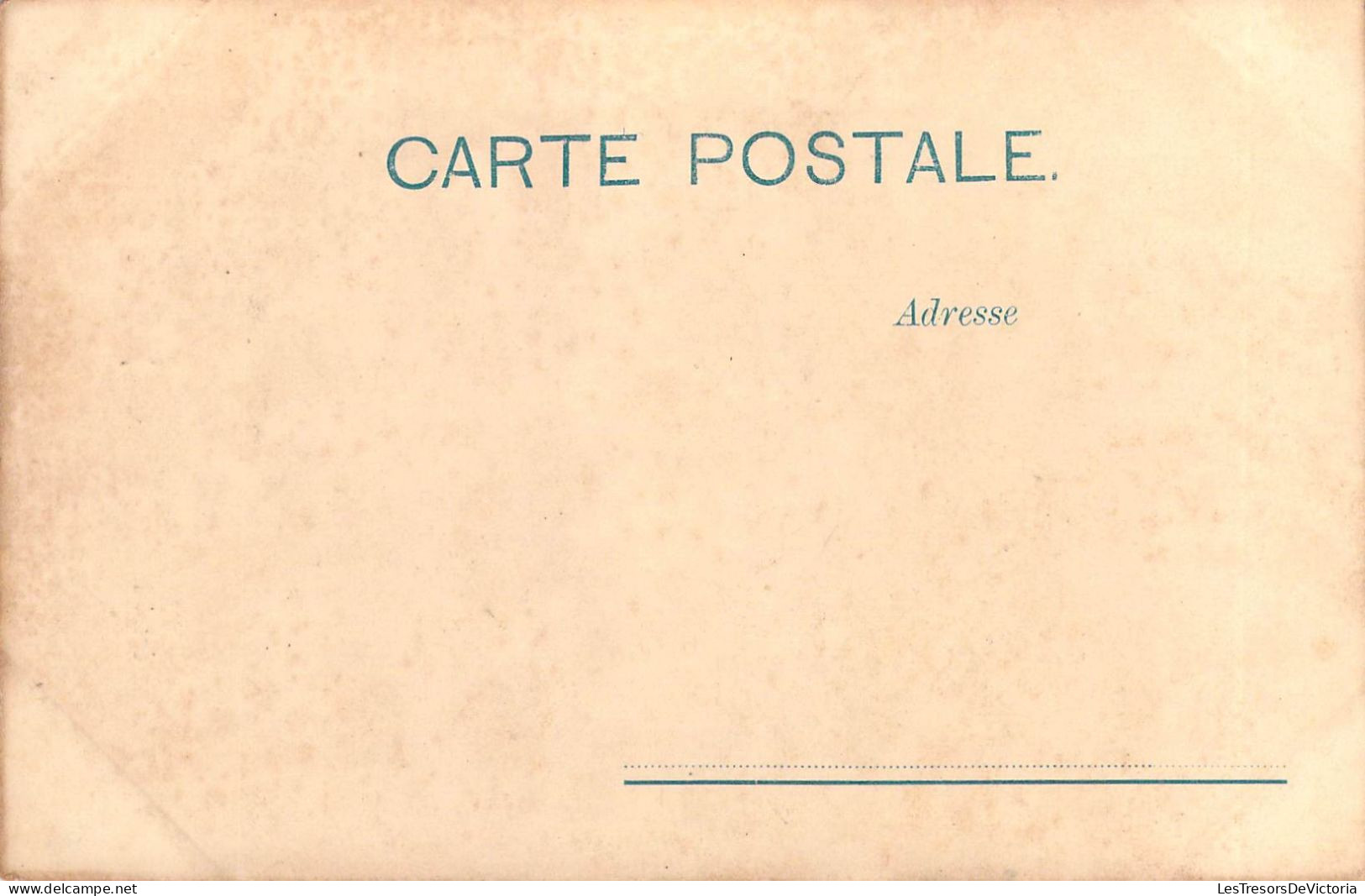 FRANCE - Nouvelle-Calédonie - Palmier éventail - Carte Postale Ancienne - Nouvelle Calédonie