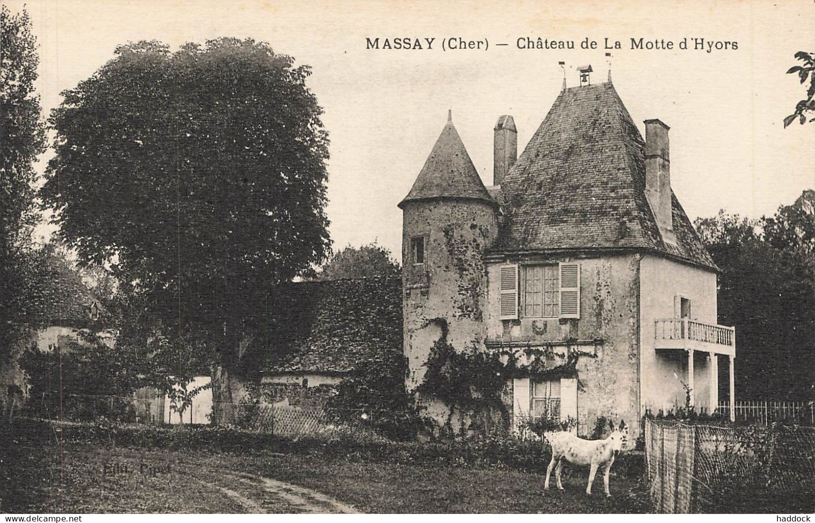 MASSAY : CHATEAU DE LA MOTTE D'HYORS - Massay