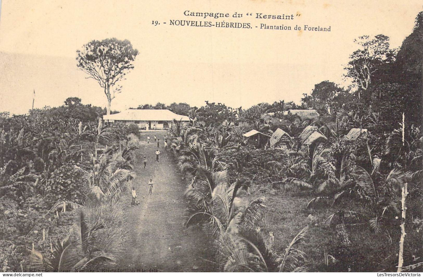 FRANCE - Nouvelles-Hébrides - Plantation De Foreland - Campagne De " Kersaint " - Carte Postale Ancienne - Polynésie Française