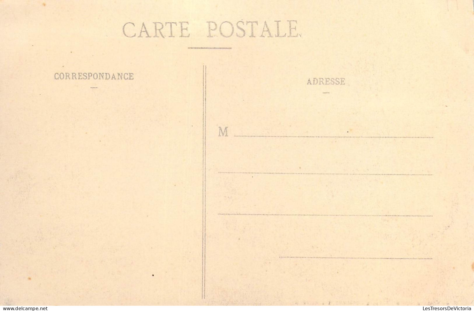 FRANCE - Nouvelles-Hébrides - Plantation De Foreland - Campagne De " Kersaint " - Carte Postale Ancienne - Polynésie Française