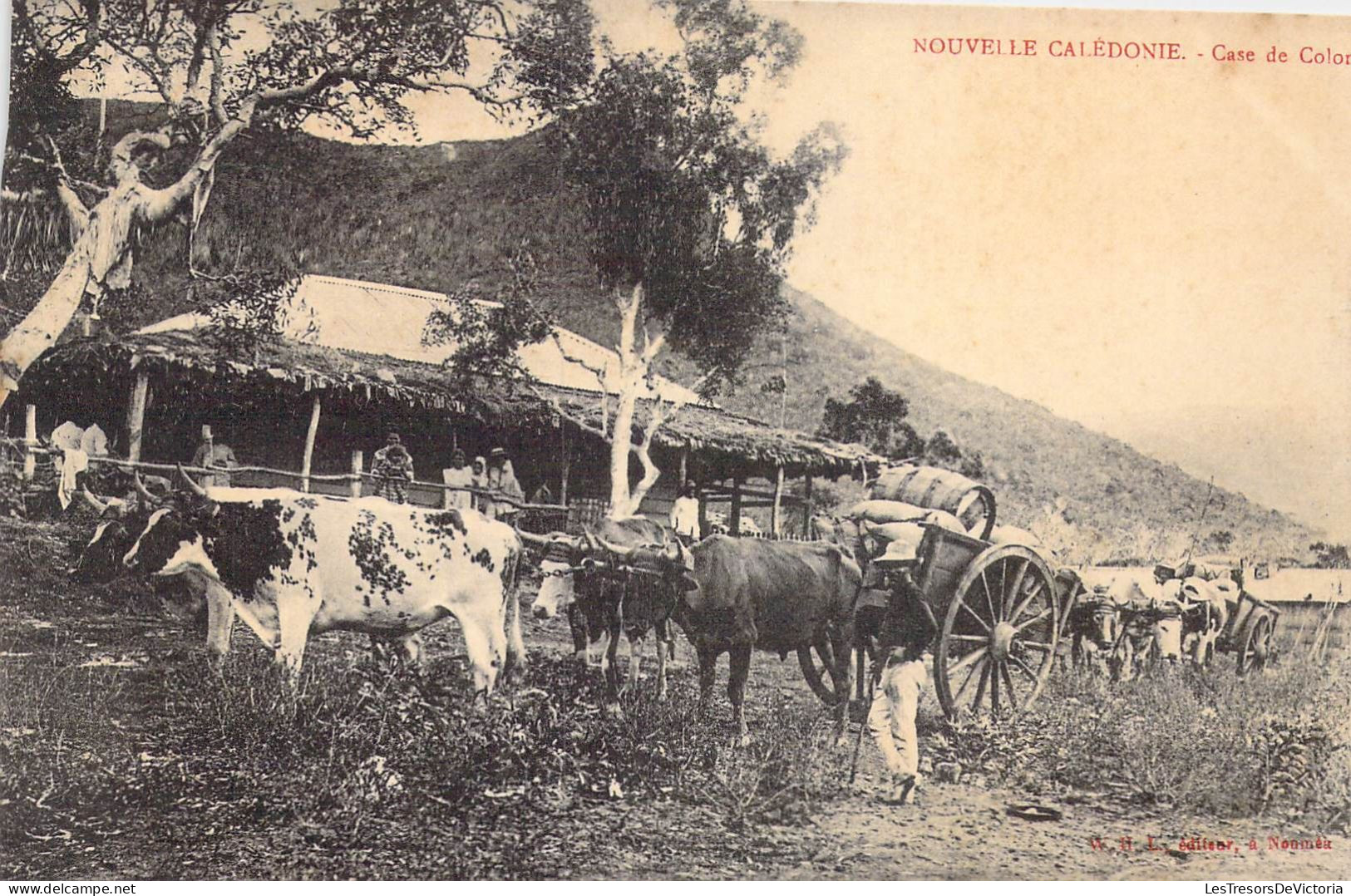 FRANCE - Nouvelle Calédonie - Case De Colon - Carte Postale Ancienne - Nouvelle Calédonie
