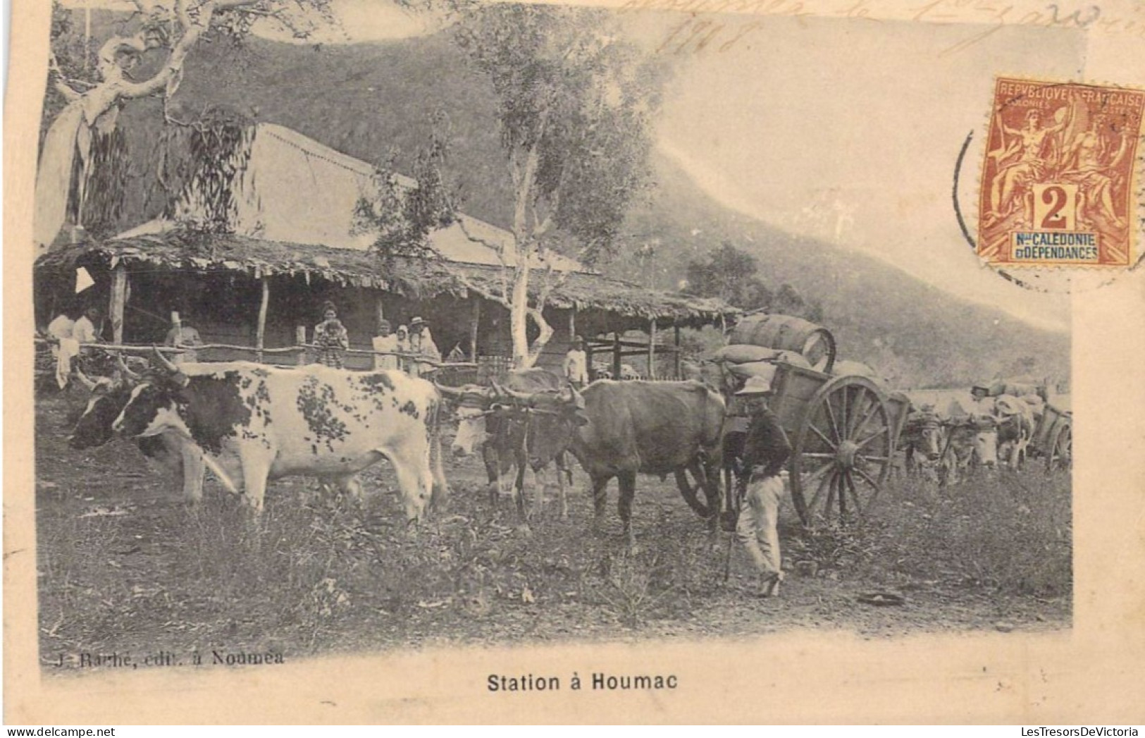 FRANCE - Nouvelle Calédonie - Station à Houmac - Carte Postale Ancienne - Nouvelle Calédonie