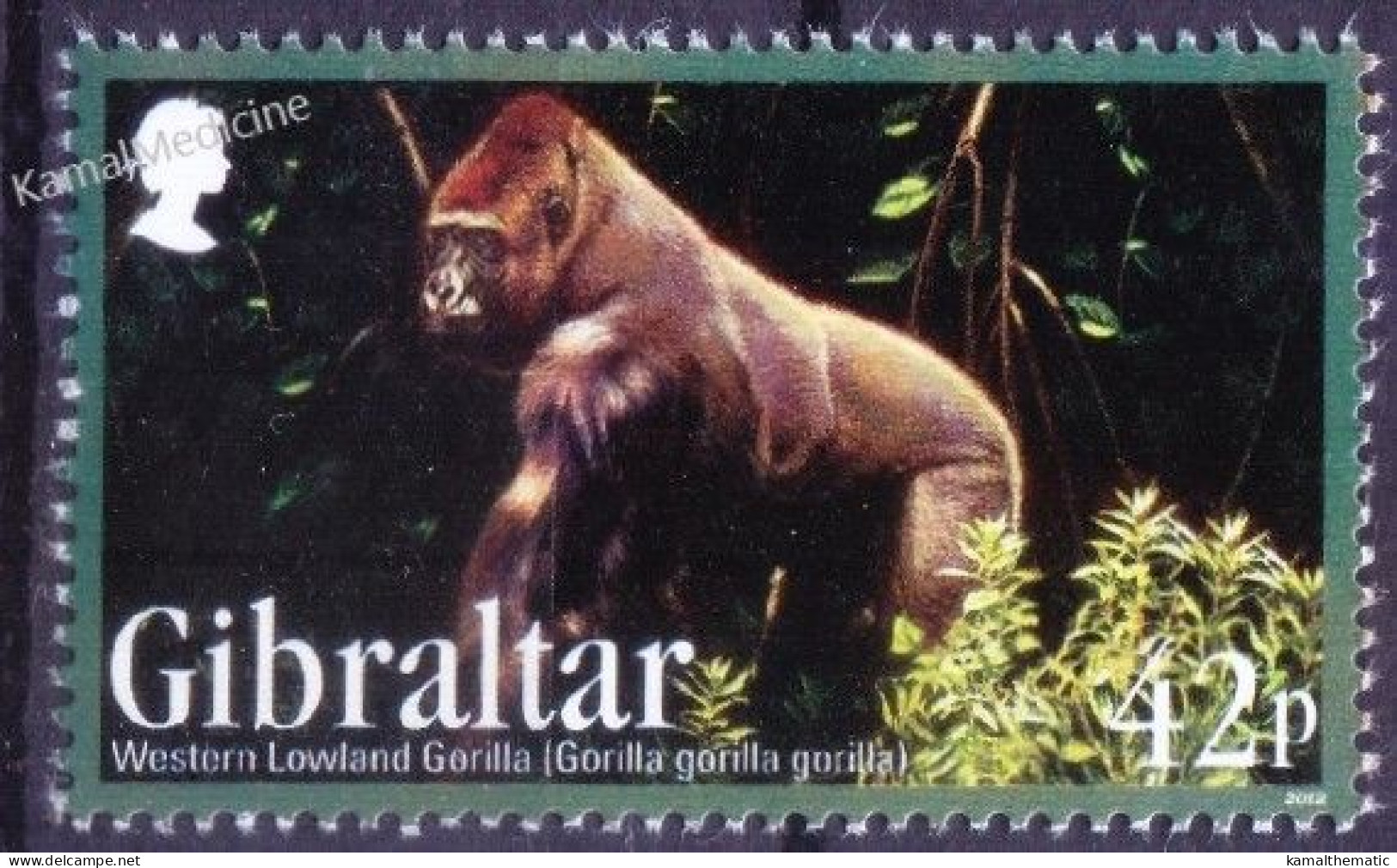 Gibraltar 2012 MNH, Western Lowland Gorilla, Monkeys Wild Animals - Gorilla
