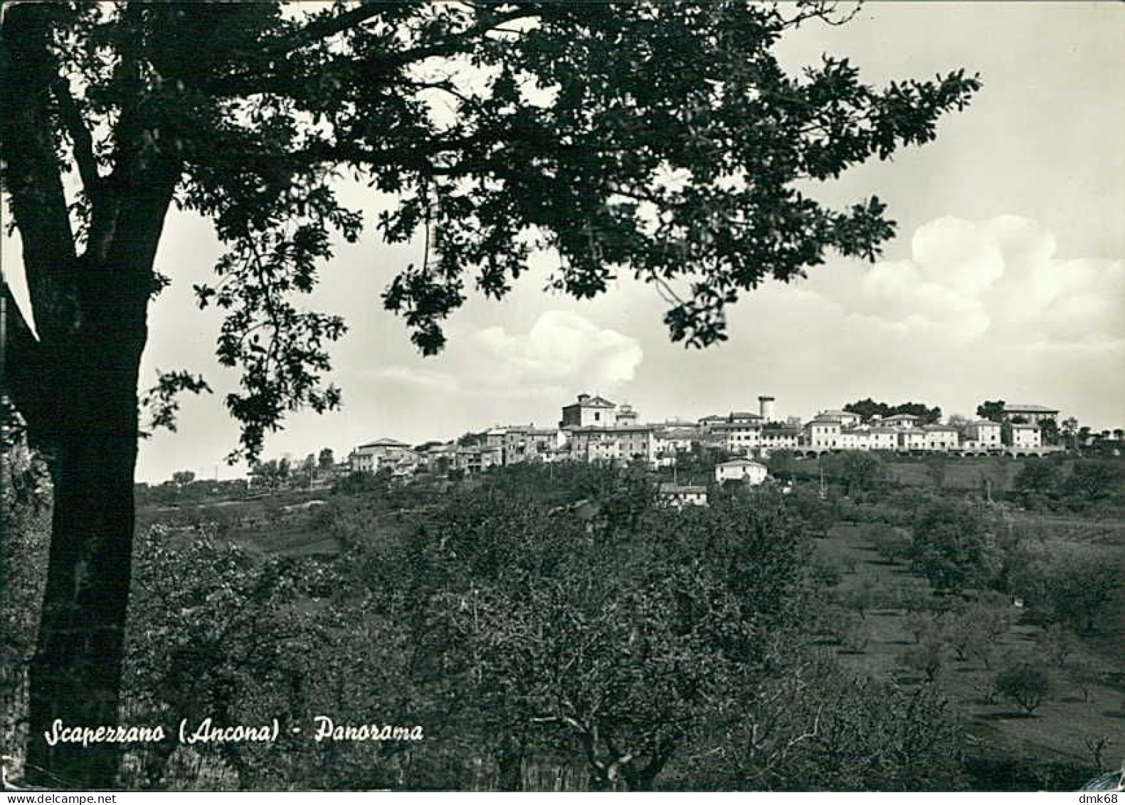 SCAPEZZANO ( SENIGALLIA ) PANORAMA - FOTO CANDIOTTI - SPEDITA 1972  (15771) - Senigallia