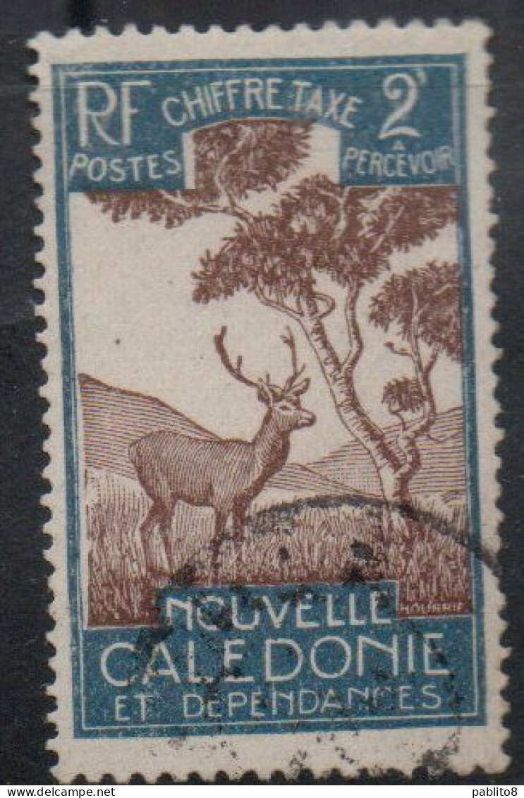 NOUVELLE CALEDONIE NEW NUOVA CALEDONIA 1928 POSTAGE DUE STAMPS TAXE SEGNATASSE MALAYAN SAMBAR 2c USED OBLITERE' USATO - Strafport