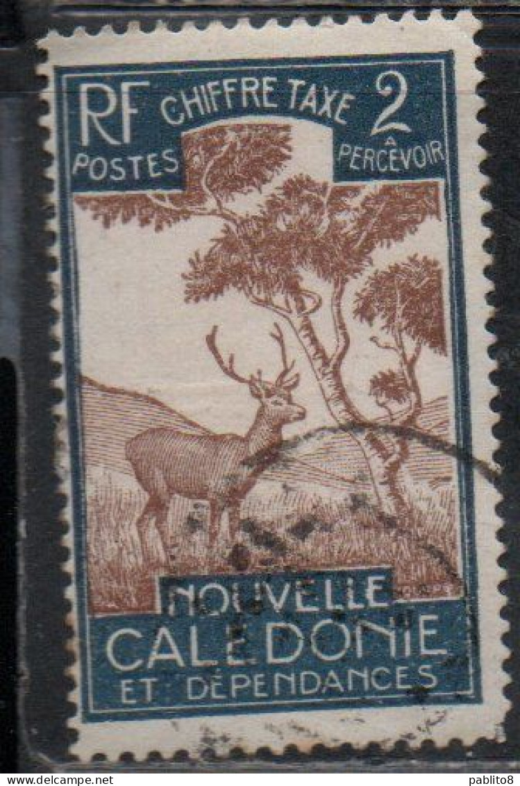 NOUVELLE CALEDONIE NEW NUOVA CALEDONIA 1928 POSTAGE DUE STAMPS TAXE SEGNATASSE MALAYAN SAMBAR 2c USED OBLITERE' USATO - Portomarken