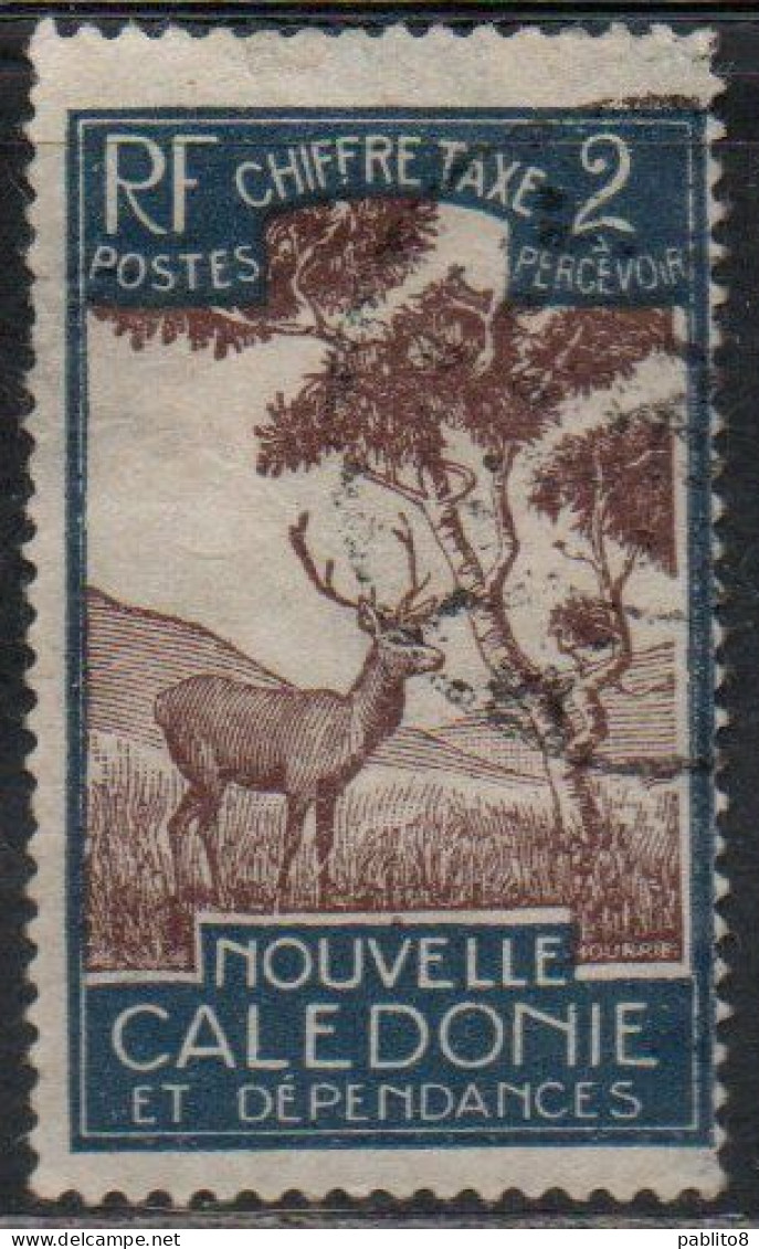 NOUVELLE CALEDONIE NEW NUOVA CALEDONIA 1928 POSTAGE DUE STAMPS TAXE SEGNATASSE MALAYAN SAMBAR 2c USED OBLITERE' USATO - Timbres-taxe