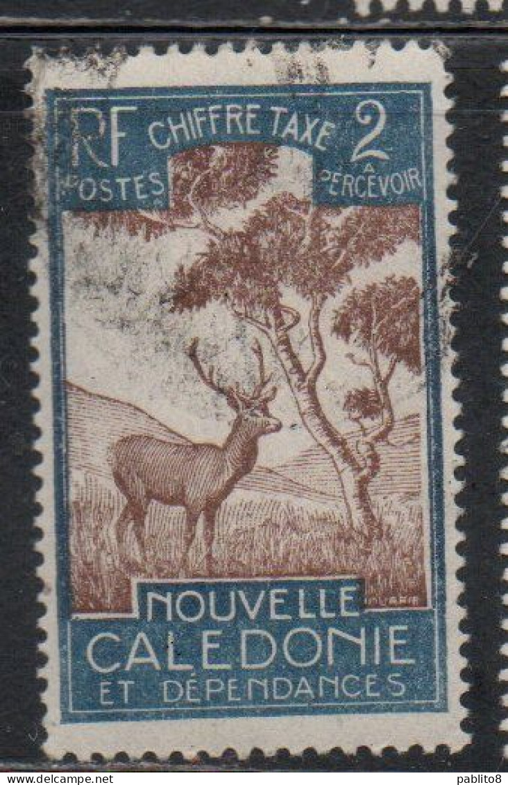 NOUVELLE CALEDONIE NEW NUOVA CALEDONIA 1928 POSTAGE DUE STAMPS TAXE SEGNATASSE MALAYAN SAMBAR 2c USED OBLITERE' USATO - Postage Due