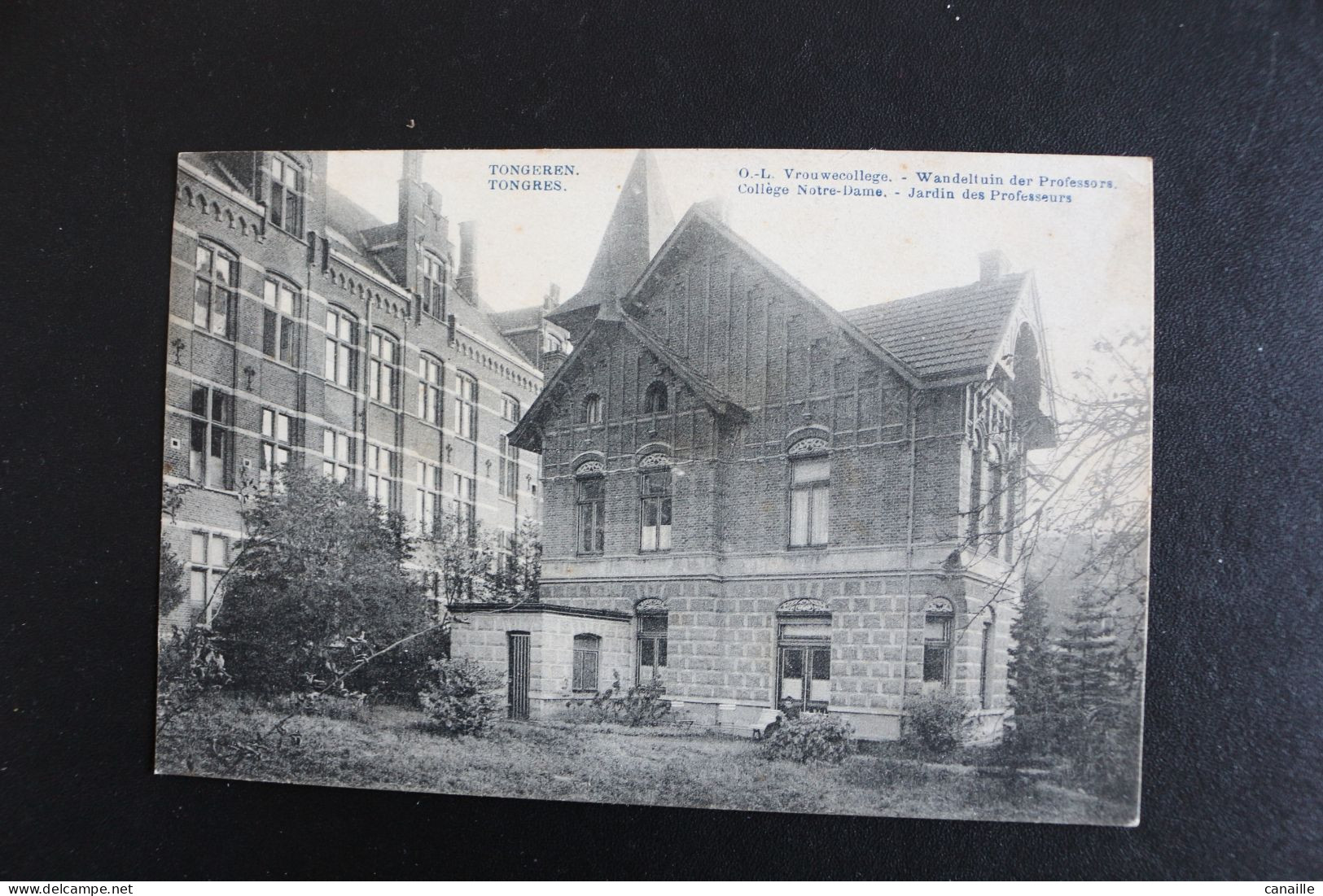 &-230 / Tongeren -Tongres  O.-L  Vrouwecollege -  College Notre-Dame, Jardin Des Professeurs / 1923 - Tongeren