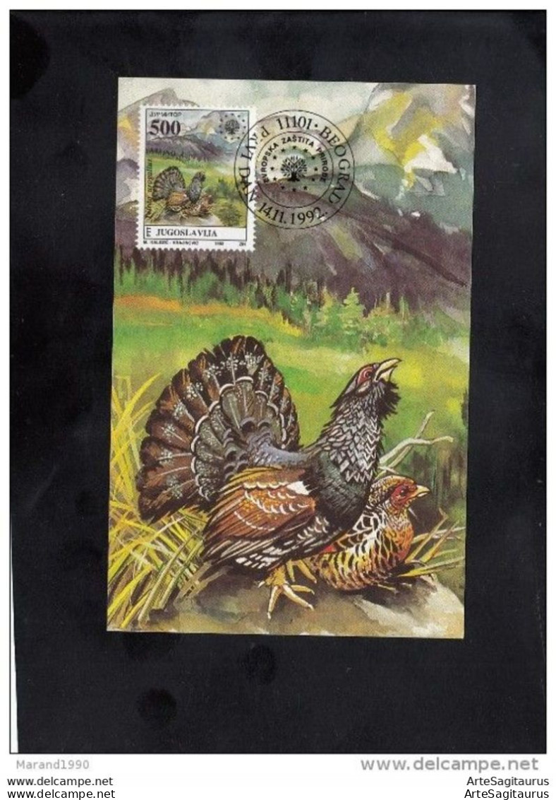 YUGOSLAVIA, CARTE MAXIMUM - BIRDS-Tetrao Urogallus + - Coucous, Touracos