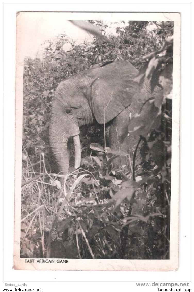 Uganda Kenya Tanganyika USED STAMPS ON ELEPHANT East African Game POSTCARD - Kenia