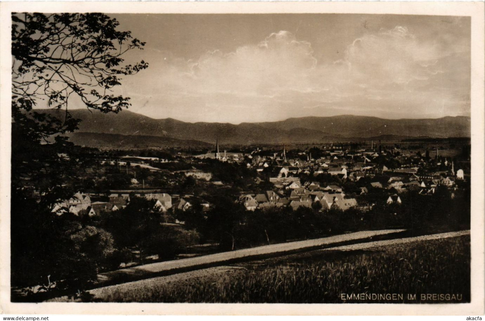 CPA AK Emmendingen Im Breisgau GERMANY (891312) - Emmendingen