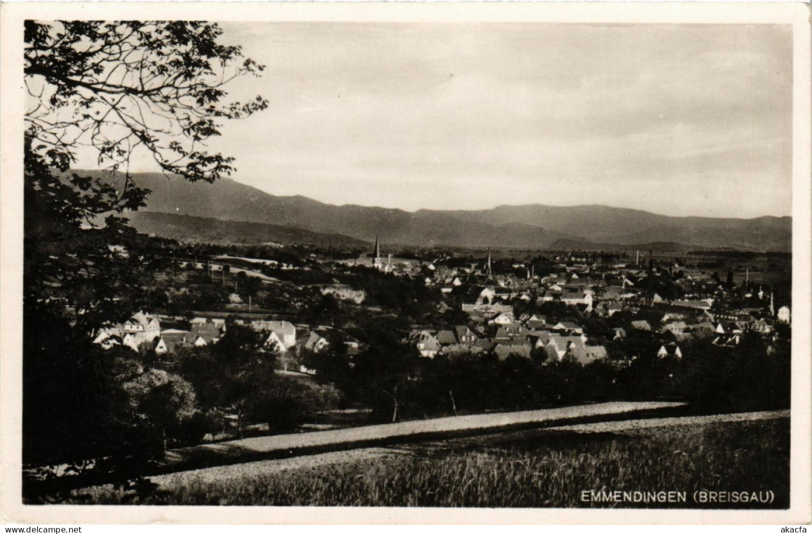 CPA AK Emmendingen Breisgau GERMANY (891310) - Emmendingen