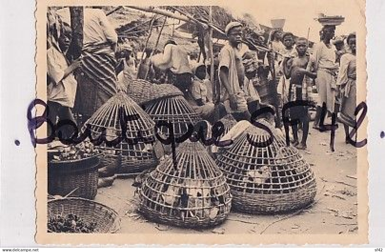 COTONOU              PHOTO MARCHE    OISEAUX           DIM 88*117M - Benin
