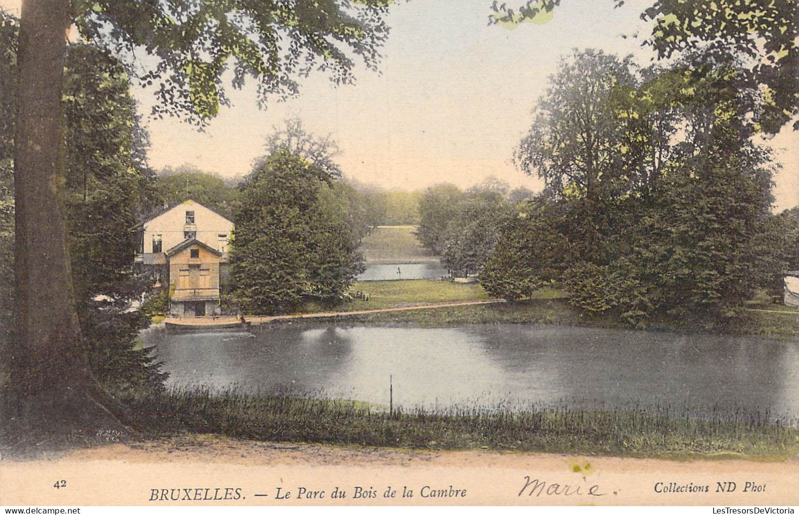 BELGIQUE - Bruxelles - Le Parc Du Bois De La Cambre - Carte Postale Ancienne - Bosques, Parques, Jardines