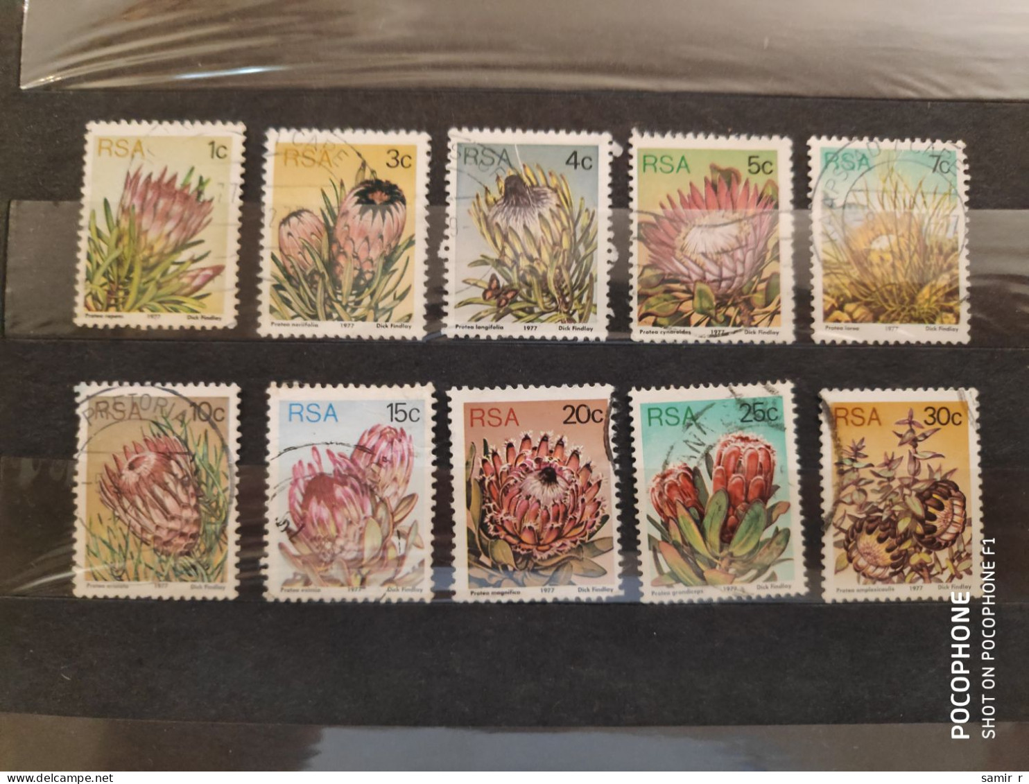 1977 South Africa Flowers (F4) - Oblitérés