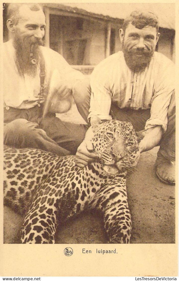 CONGO - Een Luipaard - Carte Postale Ancienne - Sonstige & Ohne Zuordnung