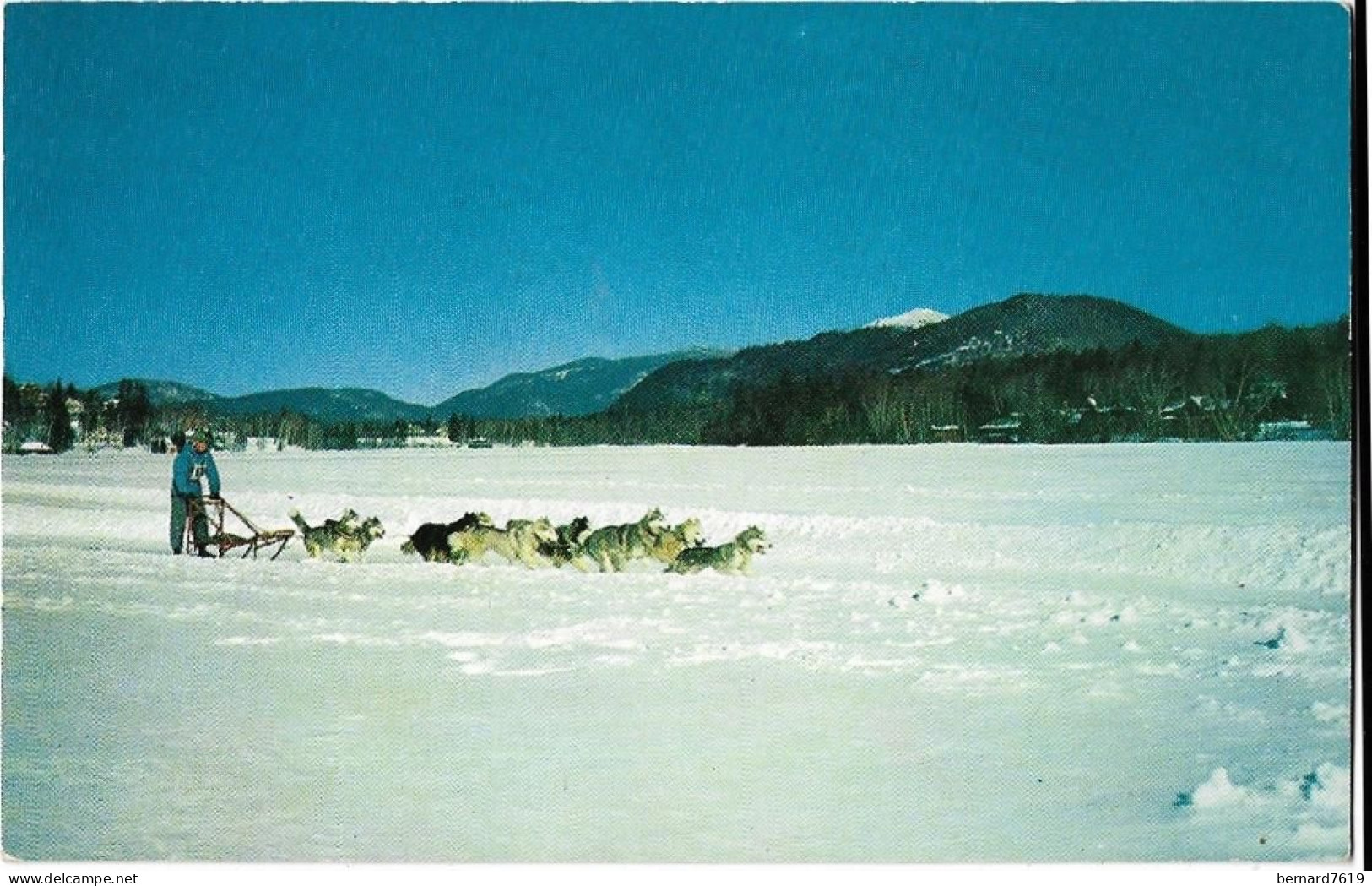 Etats Unis  - Lake  Placid , N.Y New York  In The  Adirondacks - Mushing  And  Dog Sled Races Are A Popular Winter Sport - Adirondack