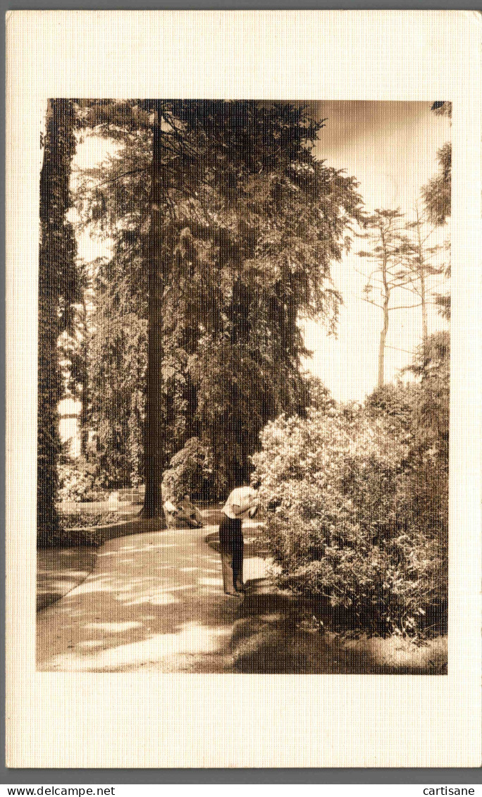 NEW-YORK 1930's - Rare Carte-photo De Belmont Park (LONG ISLAND - North Babylon) - Parken & Tuinen