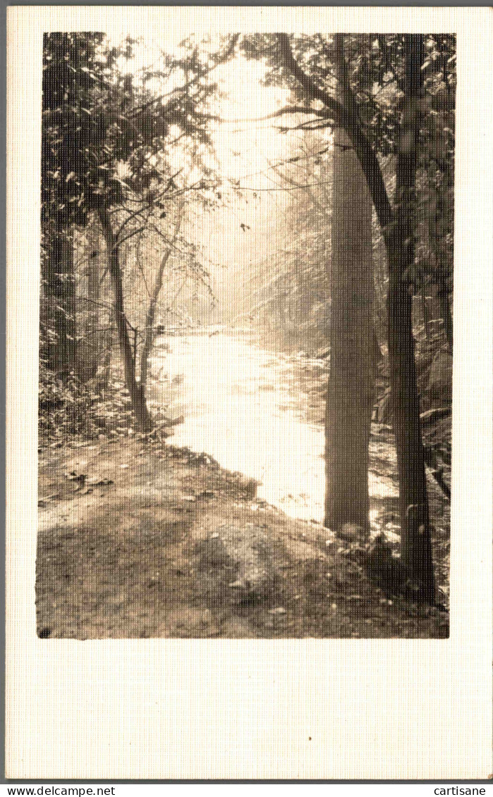 NEW-YORK 1930's - Rare Carte-photo De Belmont Park (LONG ISLAND - North Babylon) - Parks & Gardens