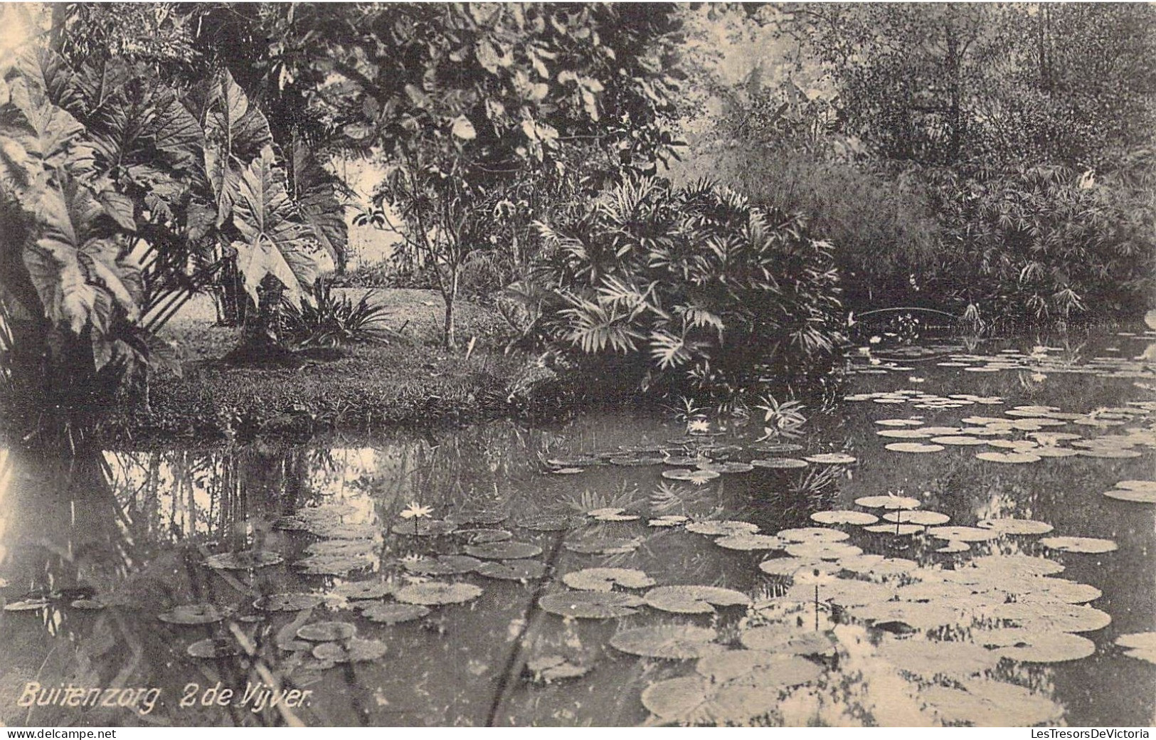 INDONESIE - Buitenzorg - 2 De Vijver - Carte Postale Ancienne - Indonesien