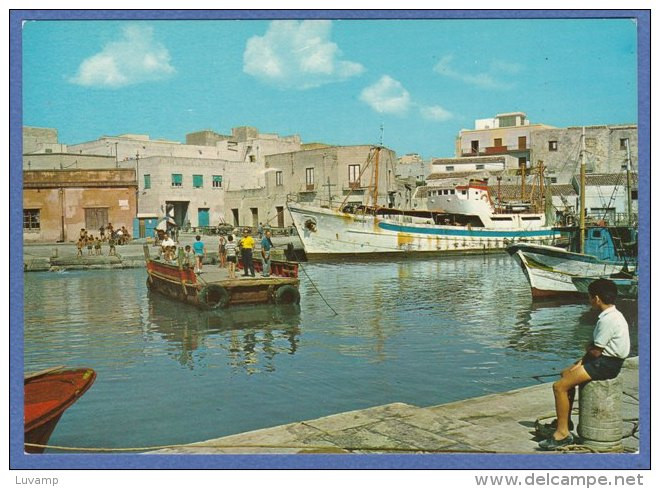 MAZARA Del VALLO (TRAPANI) - F/G  Colore (271209) - Mazara Del Vallo