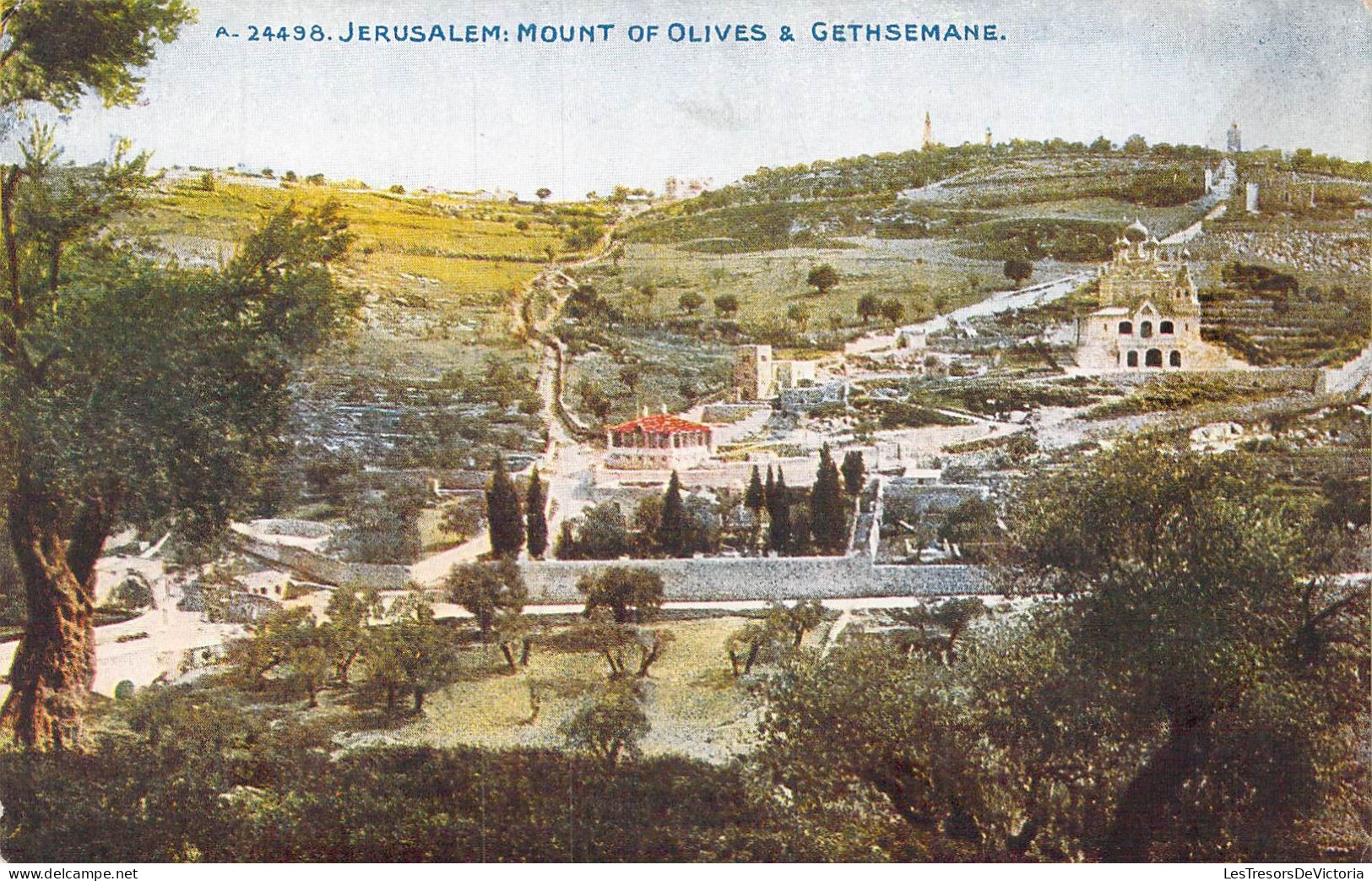 ISRAEL - Jérusalem : Mount Of Olives & Gethsemane - Carte Postale Ancienne - Israel