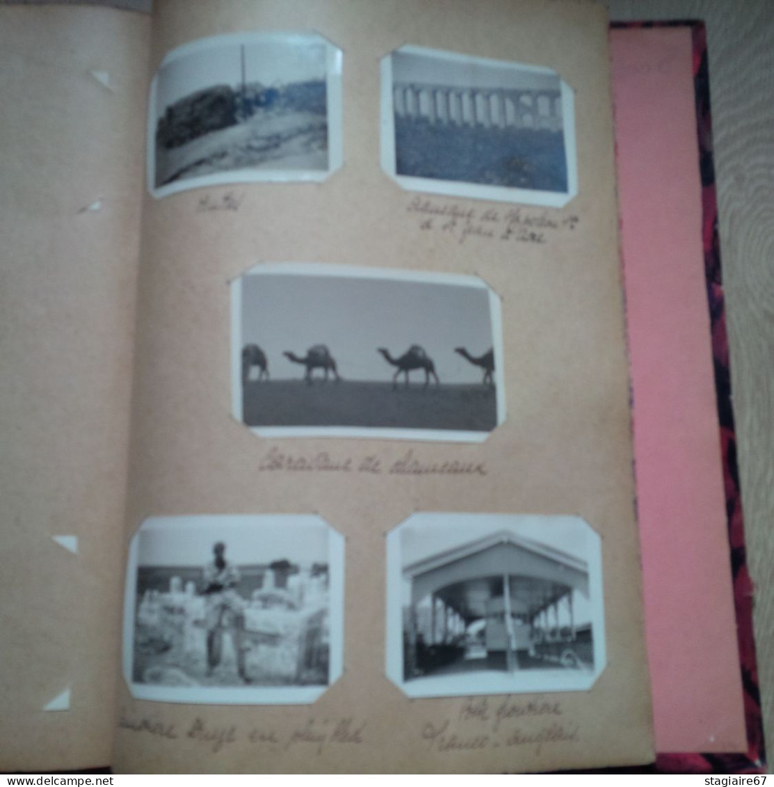 TOP ALBUM  283 PHOTO LIBAN MILITAIRE FRANCAIS POITIERS 1925