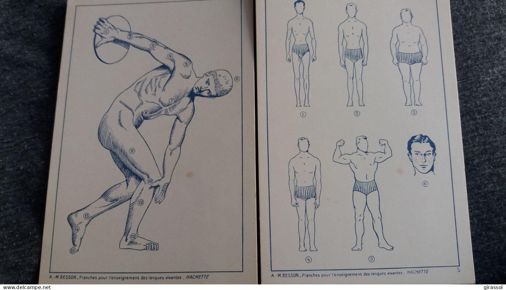 2 IMAGES PLANCHES POUR L ENSEIGNEMENT DES LANGUES VIVANTES HACHETTE A MA BESSON DISCOBOLE HOMME NU ET MORPHOLOGIE - Supplies And Equipment