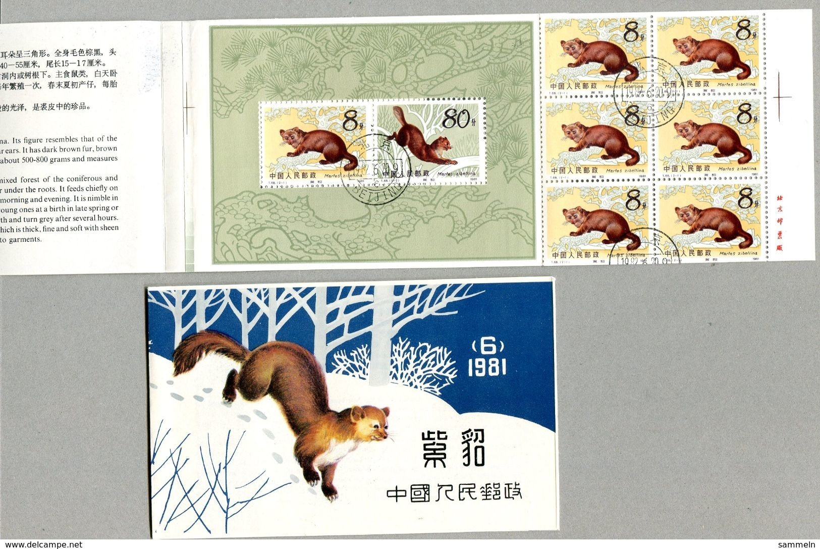 6698 - CHINA - MH SB6 1981 Gestempelt - 1806D (4), 1806C (3), 1807C - Used Booklet - Usati