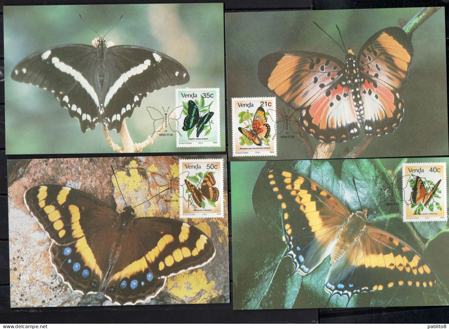 VENDA SOUTH AFRICA 1991 INSECTS FAUNA BUTTERFLIES FARFALLE PAPILLONS COMPLETE SET MAXI MAXIMUM CARD - Venda