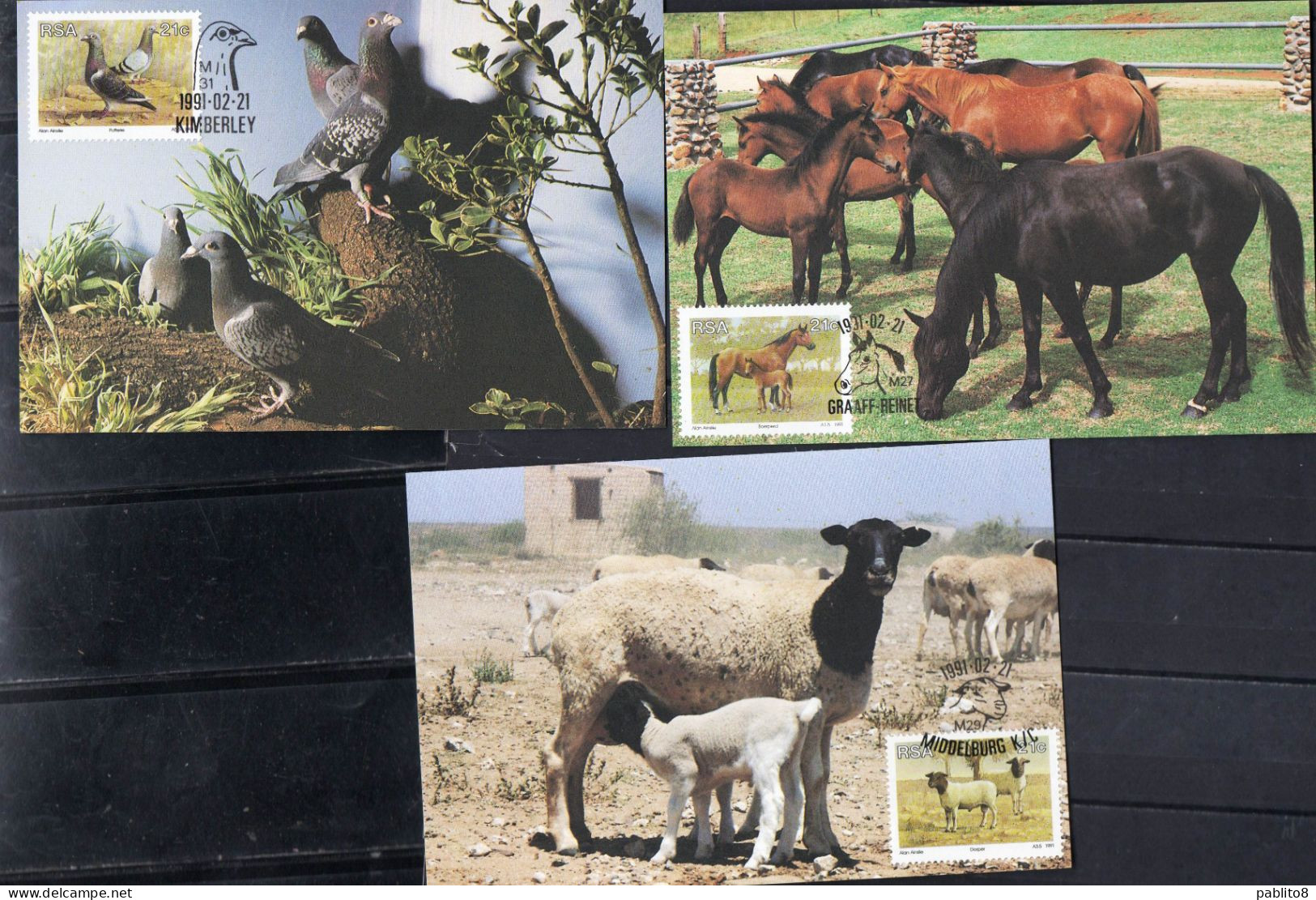 SUD SOUTH AFRICA AFRIQUE RSA 1990 FAUNA ANIMAL BREEDING ANIMALS COMPLETE SET MAXI MAXIMUM CARD - FDC