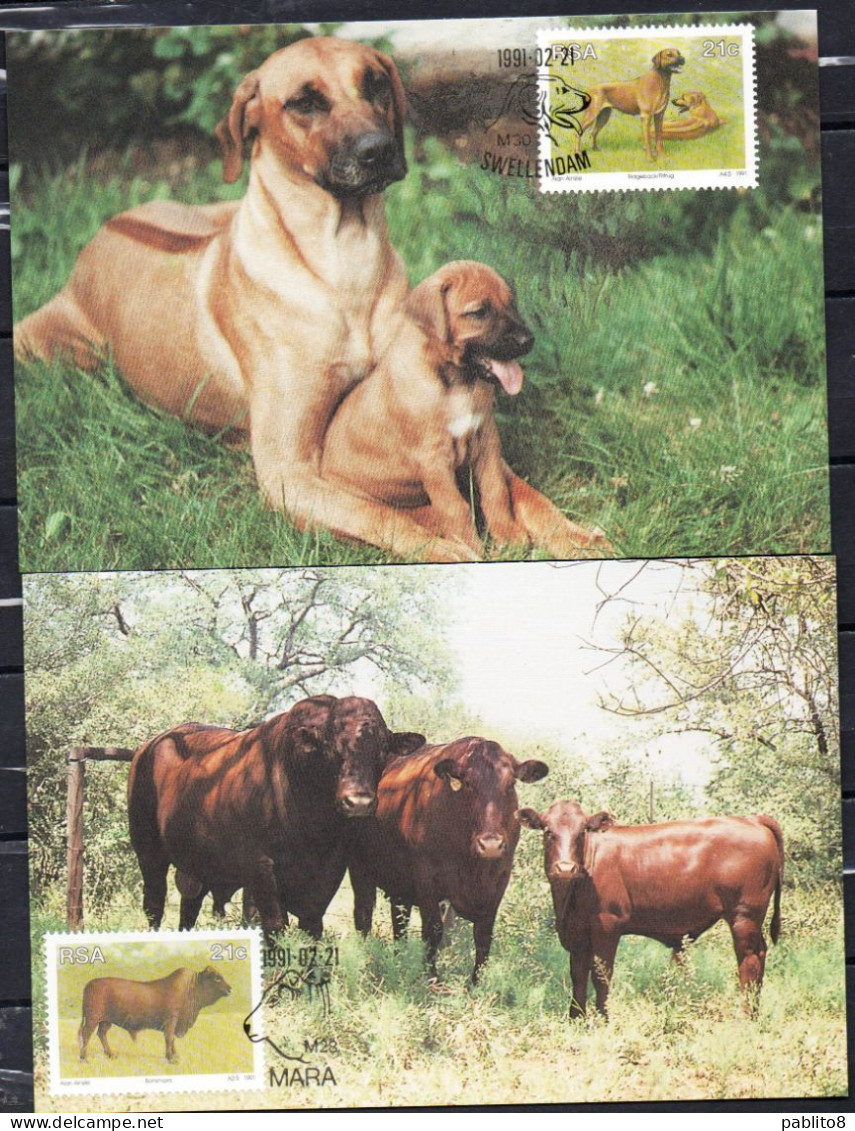 SUD SOUTH AFRICA AFRIQUE RSA 1990 FAUNA ANIMAL BREEDING ANIMALS COMPLETE SET MAXI MAXIMUM CARD - FDC