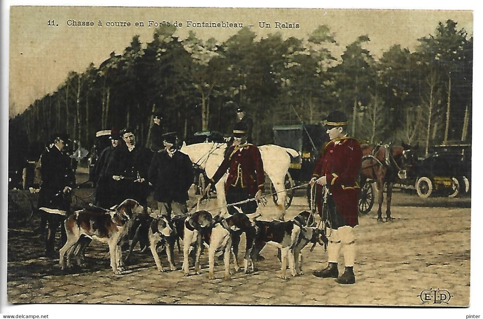 CHASSE A COURRE En Forêt De Fontainebleau - Un Relais - Chasse