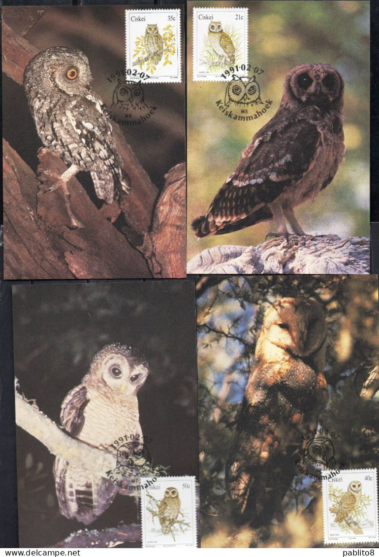 CISKEI SOUTH AFRICA 1991 BIRDS FAUNA OWLS GUFI COMPLETE SET SERIE COMPLETA MAXI MAXIMUM CARD - Ciskei
