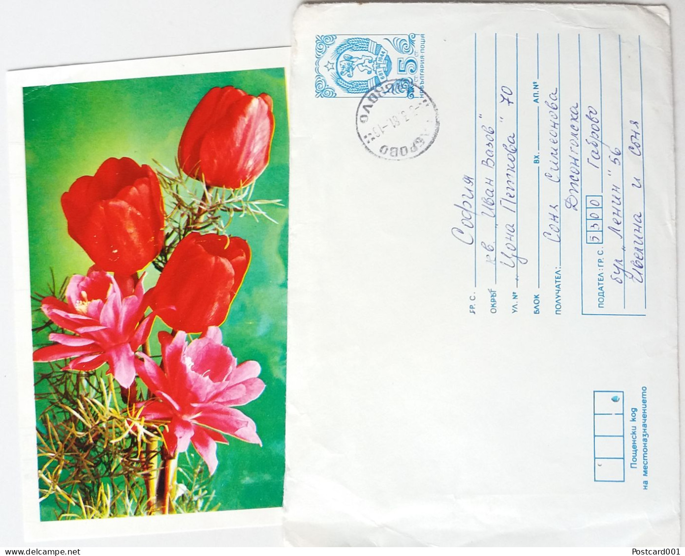 #80 Traveled Envelope And Postcard Flowers Cirillic Manuscript Bulgaria 1981 - Local Mail - Covers & Documents