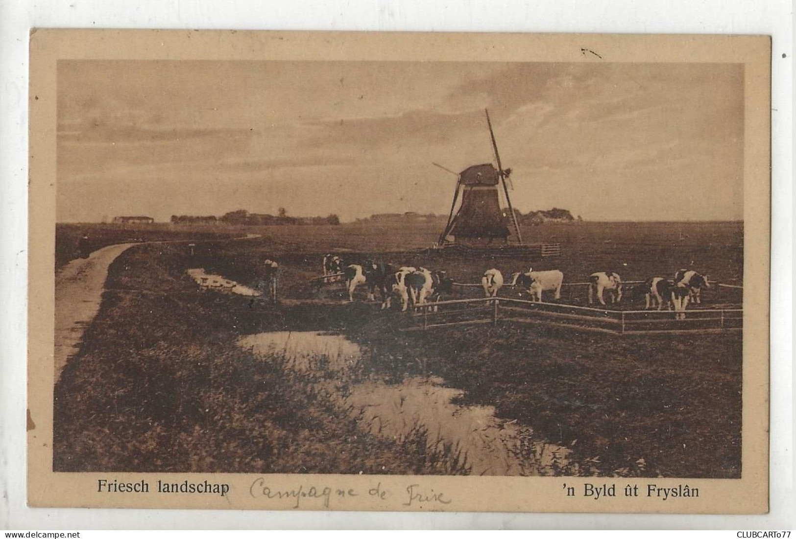 Heerenveen (Pays-Bas, Friesland) : 'n Byld ût Fryslàn En 1930 PF. - Heerenveen