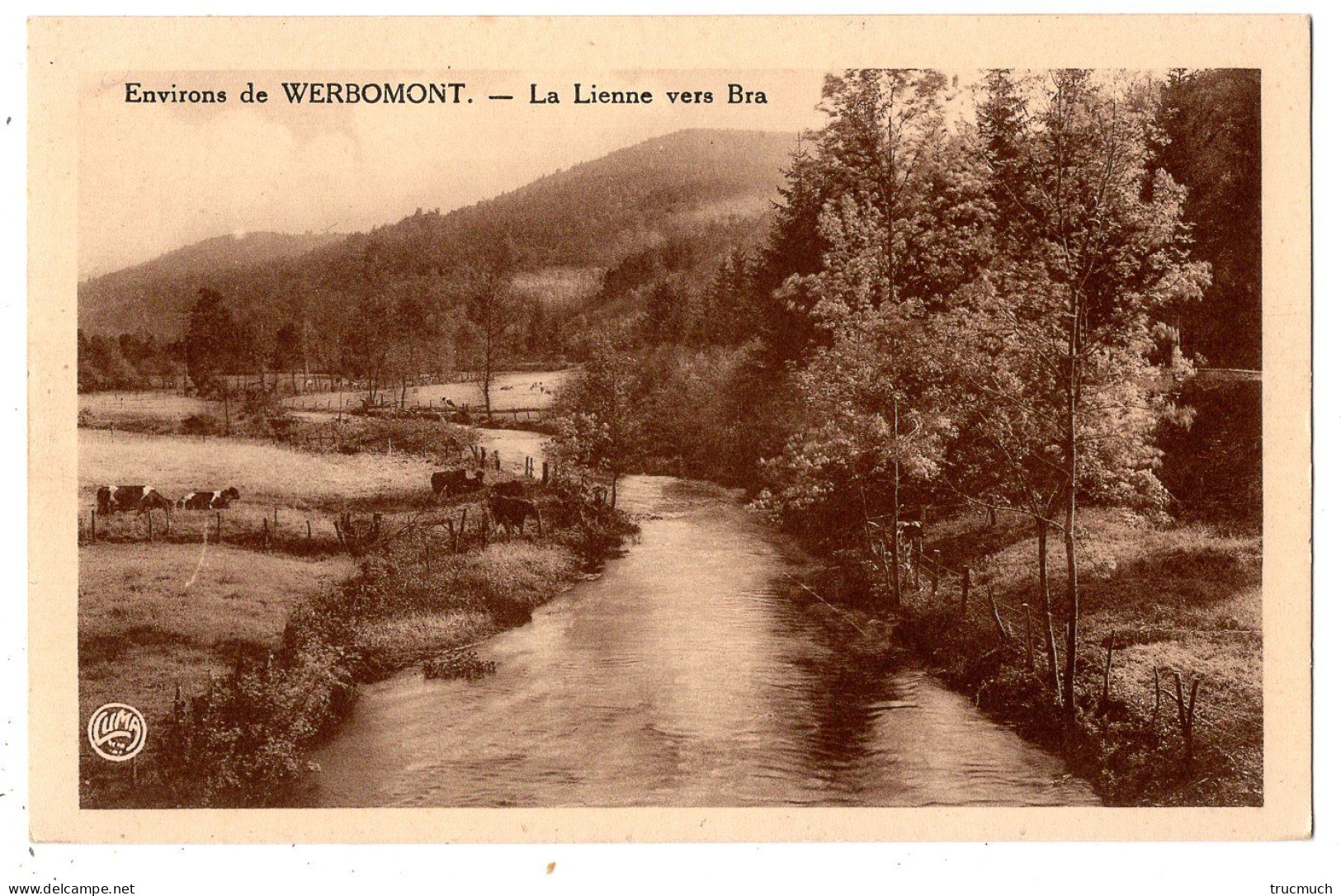 98 - LIERNEUX - Environs De WERBOMONT - La Lienne Vers BRA - Lierneux