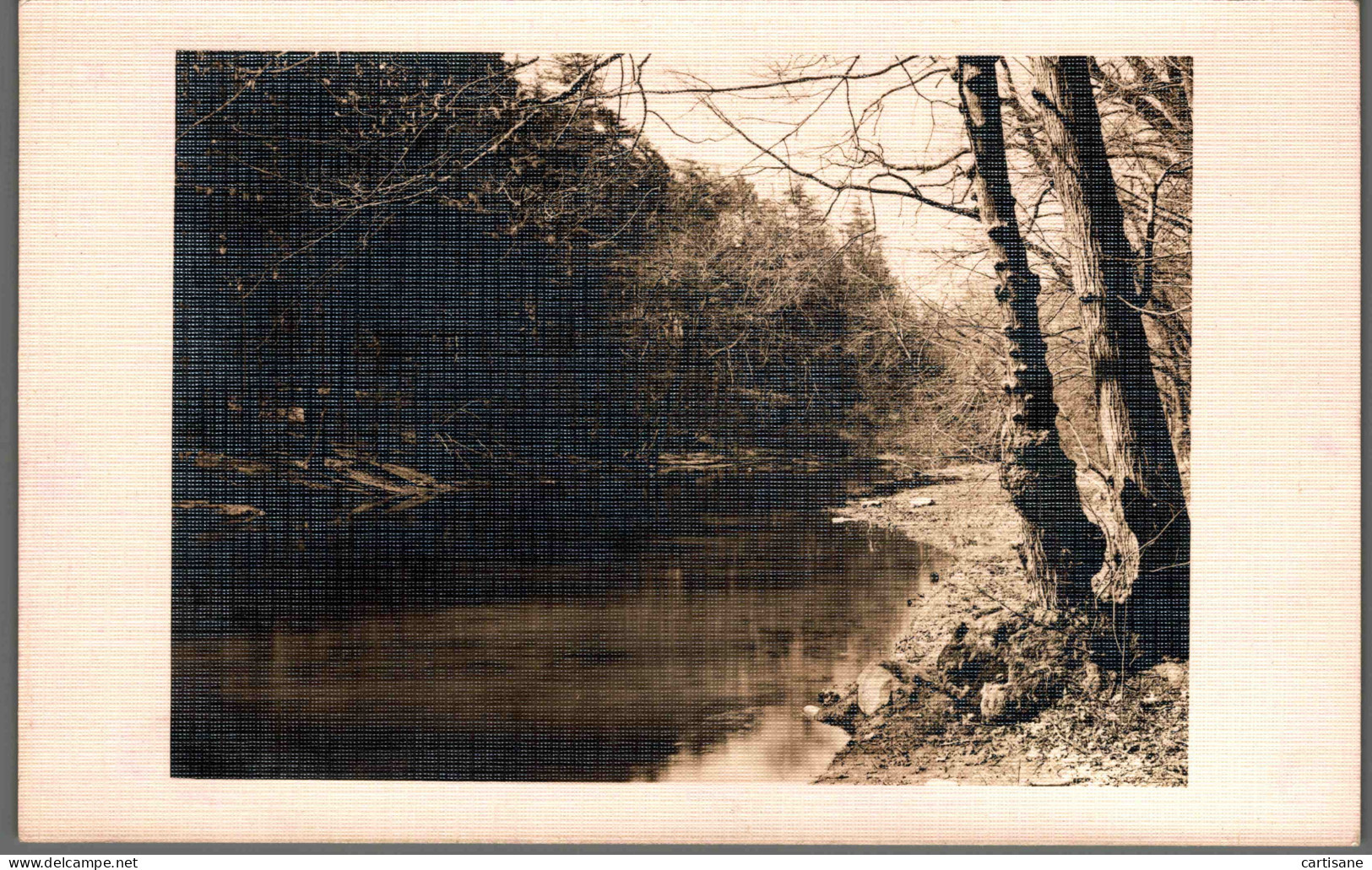 NEW-YORK 1930's - Rare Carte-photo De Belmont Park (Queens) - Parcs & Jardins