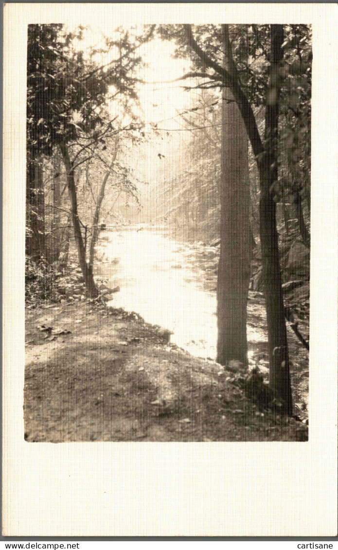 NEW-YORK 1930's - Rare Carte-photo De Belmont Park (Queens) - Parques & Jardines