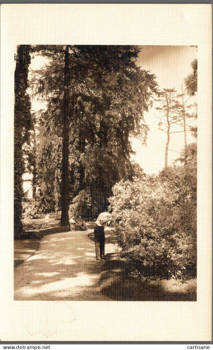 NEW-YORK 1930's - Rare Carte-photo De Belmont Park (Queens) - Parken & Tuinen